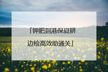 钾肥到港保夏耕 边检高效助通关