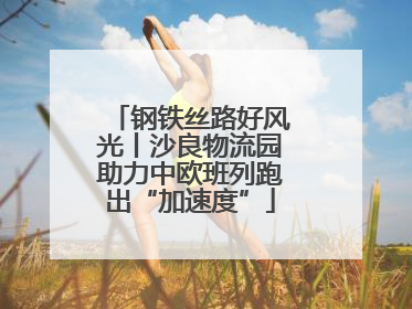钢铁丝路好风光丨沙良物流园助力中欧班列跑出“加速度”