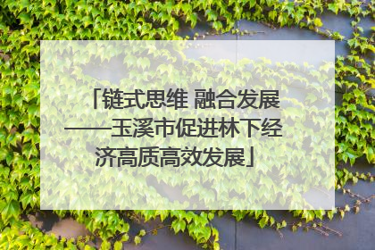 链式思维 融合发展——玉溪市促进林下经济高质高效发展