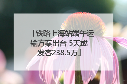 铁路上海站端午运输方案出台 5天或发客238.5万