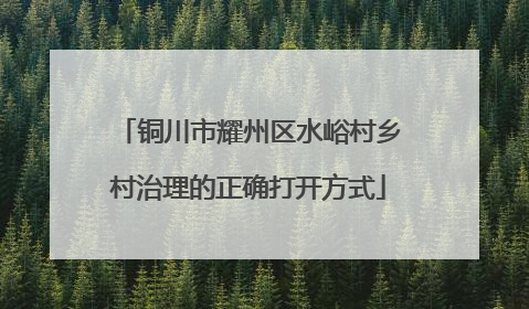 铜川市耀州区水峪村乡村治理的正确打开方式