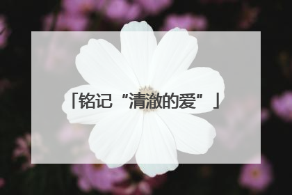 铭记“清澈的爱”