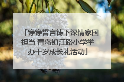 铮铮誓言铸下深情家国担当 青岛镇江路小学举办十岁成长礼活动