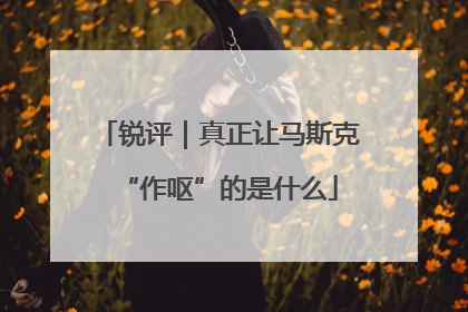 锐评｜真正让马斯克“作呕”的是什么