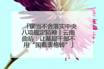 锲而不舍落实中央八项规定精神丨云南曲靖：让基层干部不用“围着表格转”