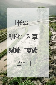 长岛：“驯化”海草赋能“零碳岛”