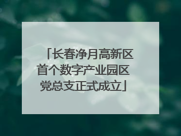长春净月高新区首个数字产业园区党总支正式成立