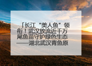 长江“美人鱼”领衔！武汉放流近千万尾鱼苗守护绿色生态——湖北武汉青鱼原种场参加2025年“全国放鱼日”增殖放流活动