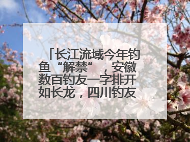 长江流域今年钓鱼“解禁”，安徽数百钓友一字排开如长龙，四川钓友称像过节