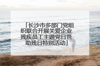 长沙市多部门党组织联合开展关爱企业残疾员工主题党日暨助残日特别活动