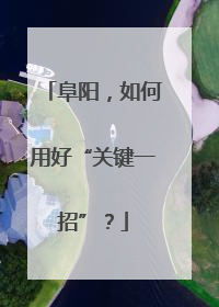 阜阳，如何用好“关键一招”？
