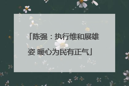 陈强：执行维和展雄姿 暖心为民有正气