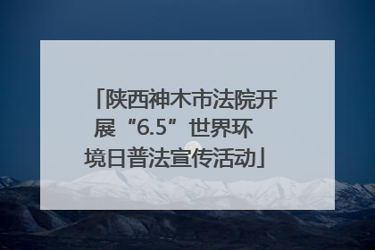 陕西神木市法院开展“6.5”世界环境日普法宣传活动