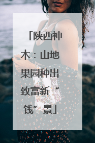 陕西神木：山地果园种出致富新“钱”景