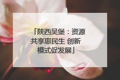 陕西吴堡：资源共享惠民生 创新模式促发展