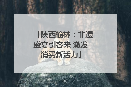 陕西榆林：非遗盛宴引客来 激发消费新活力