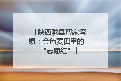 陕西陇县曹家湾镇：金色麦田里的“志愿红”