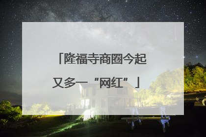 隆福寺商圈今起又多一“网红”