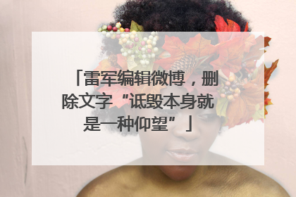 雷军编辑微博，删除文字“诋毁本身就是一种仰望”