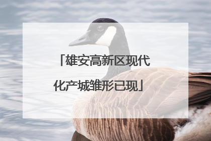 雄安高新区现代化产城雏形已现