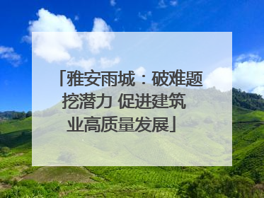 雅安雨城：破难题 挖潜力 促进建筑业高质量发展