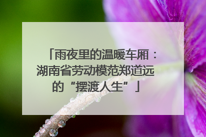 雨夜里的温暖车厢：湖南省劳动模范郑道远的“摆渡人生”