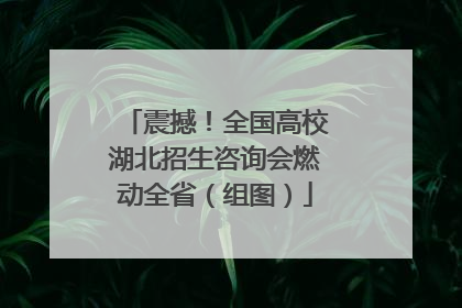 震撼！全国高校湖北招生咨询会燃动全省（组图）