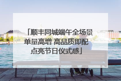 顺丰同城端午全场景单量高增 高品质即配点亮节日仪式感