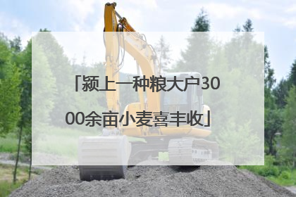 颍上一种粮大户3000余亩小麦喜丰收