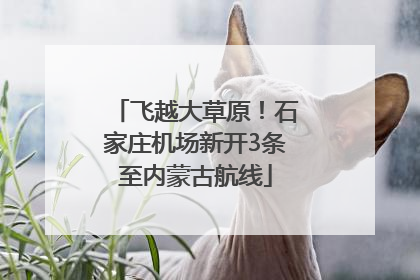 飞越大草原！石家庄机场新开3条至内蒙古航线