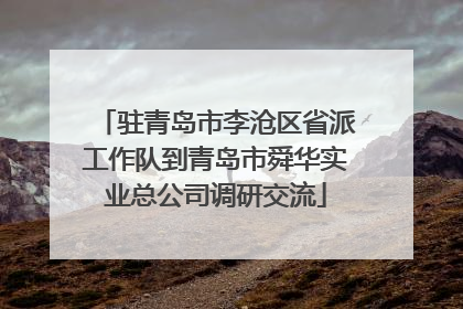 驻青岛市李沧区省派工作队到青岛市舜华实业总公司调研交流