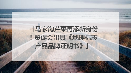 马家沟芹菜再添新身份！贸促会出具《地理标志产品品牌证明书》