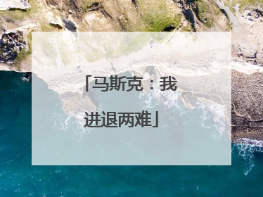 马斯克：我进退两难
