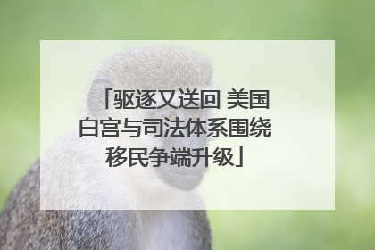 驱逐又送回 美国白宫与司法体系围绕移民争端升级