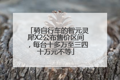 骑自行车的智元灵犀X2公布售价区间，每台十多万至三四十万元不等