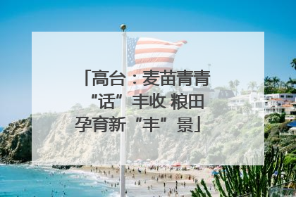 高台：麦苗青青“话”丰收 粮田孕育新“丰”景