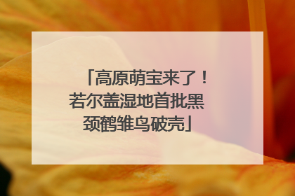 高原萌宝来了！若尔盖湿地首批黑颈鹤雏鸟破壳