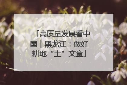 高质量发展看中国｜黑龙江：做好耕地“土”文章