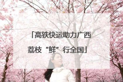 高铁快运助力广西荔枝“鲜”行全国