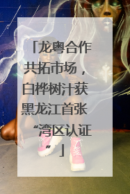 龙粤合作共拓市场，白桦树汁获黑龙江首张“湾区认证”
