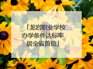龙岩职业学校办学条件达标率居全省首位