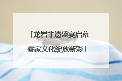 龙岩非遗盛宴启幕 客家文化绽放新彩