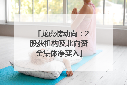 龙虎榜动向：2股获机构及北向资金集体净买入