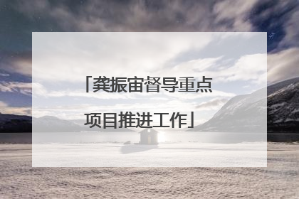 龚振宙督导重点项目推进工作