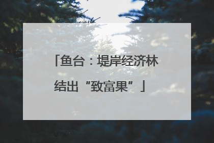 鱼台：堤岸经济林结出“致富果”