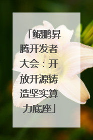 鲲鹏昇腾开发者大会：开放开源铸造坚实算力底座