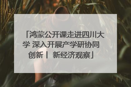 鸿蒙公开课走进四川大学 深入开展产学研协同创新丨 新经济观察