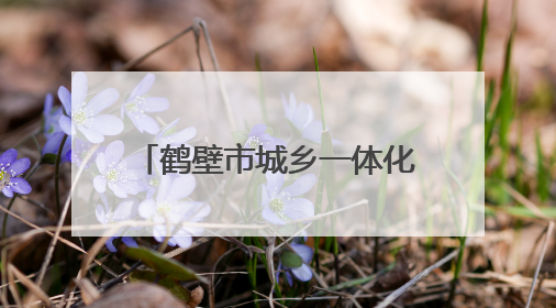 鹤壁市城乡一体化示范区：一粽一童心 双节共缤纷