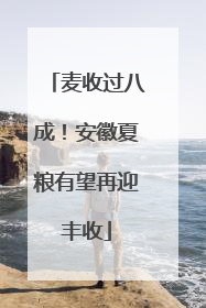 麦收过八成！安徽夏粮有望再迎丰收