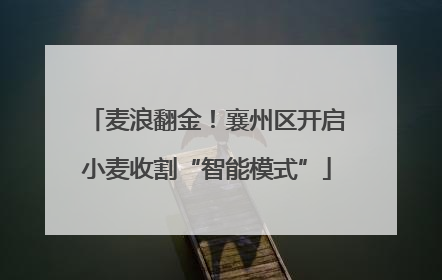 麦浪翻金！襄州区开启小麦收割“智能模式”